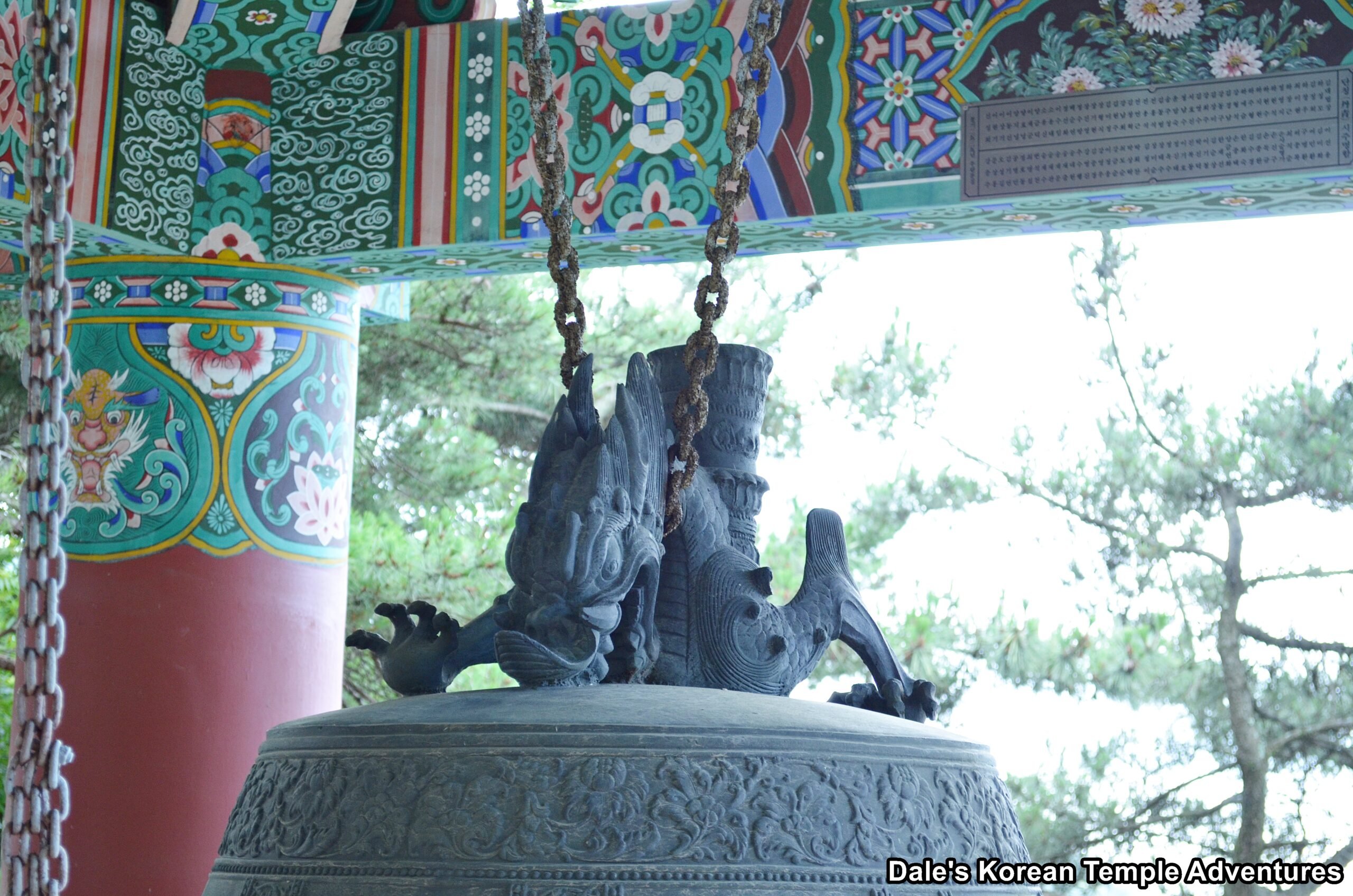 🍇 고슈시 가쓰누마 포도의 언덕(부도노오카) 이미지 8